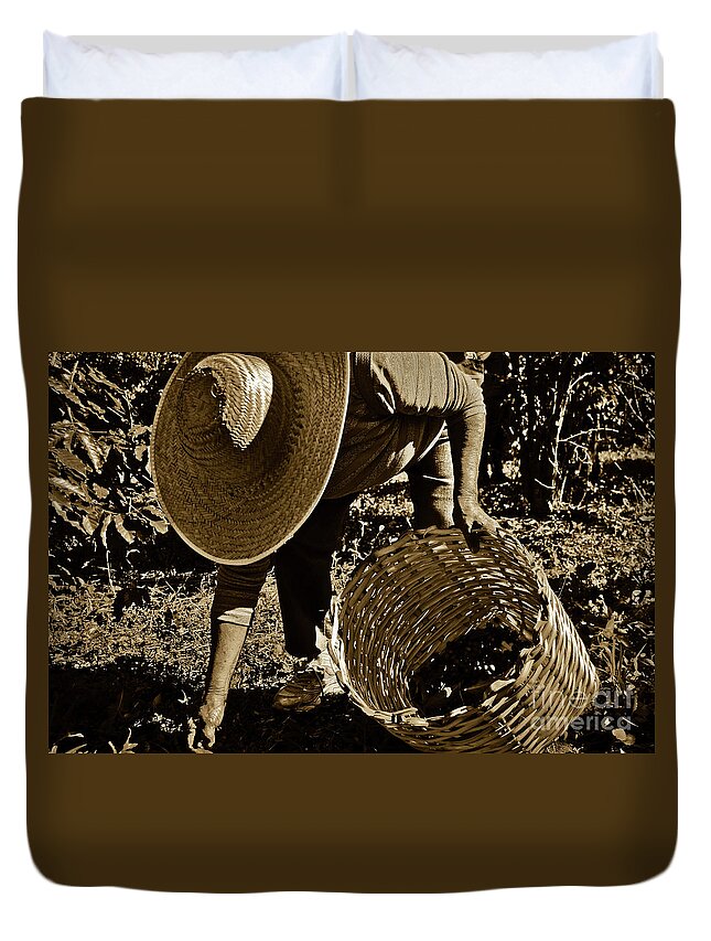 Bean Duvet Cover featuring the photograph Coffee Culture in Sao Paulo - Brazil #5 by Carlos Alkmin
