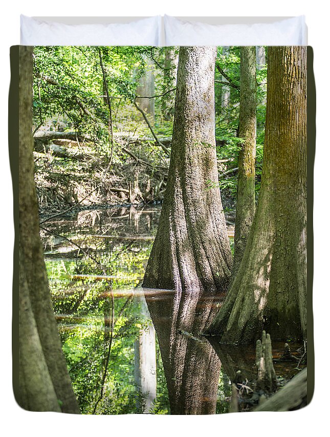 Carolina Duvet Cover featuring the photograph cypress forest and swamp of Congaree National Park in South Caro #5 by Alex Grichenko