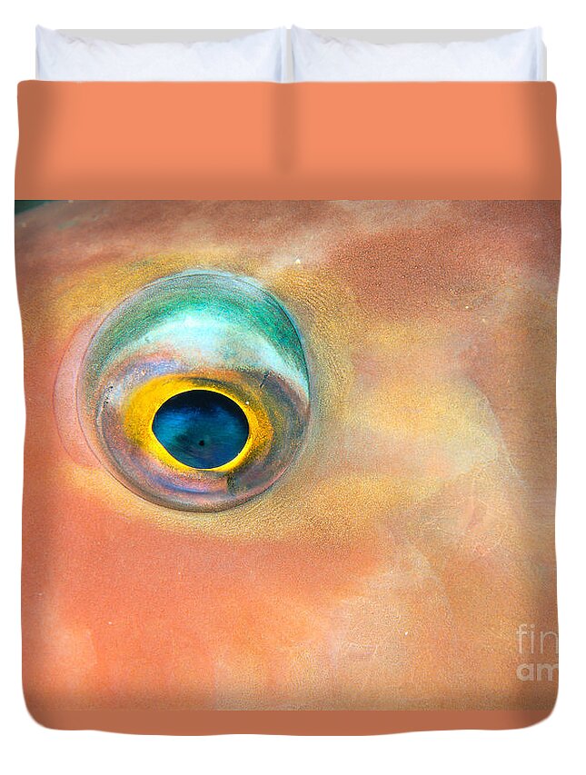 Animal Art Duvet Cover featuring the photograph Fiji, Reef Scene #5 by Dave Fleetham - Printscapes