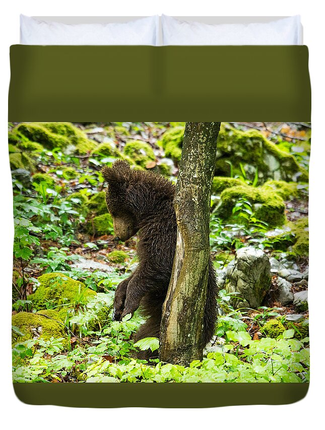 Brown Duvet Cover featuring the photograph One year old Brown Bear in Slovenia #5 by Ian Middleton