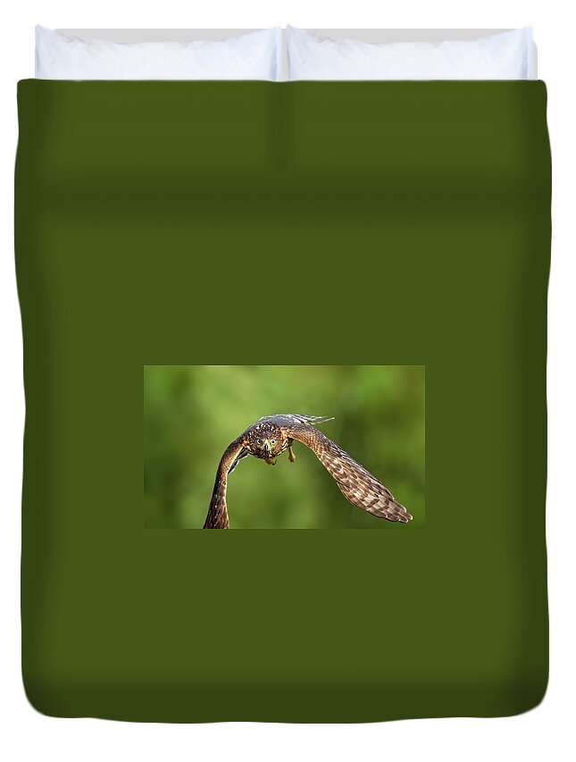 Amelia Island Duvet Cover featuring the photograph Red-Tailed Hawk by Peter Lakomy
