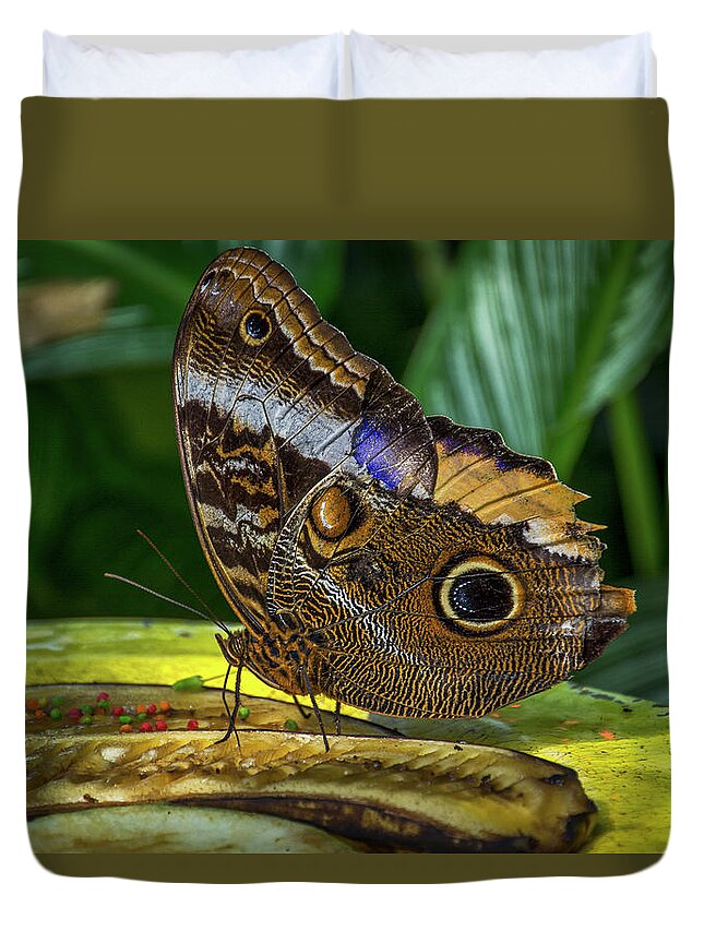 Florida Duvet Cover featuring the photograph 5113- Butterfly by David Lange