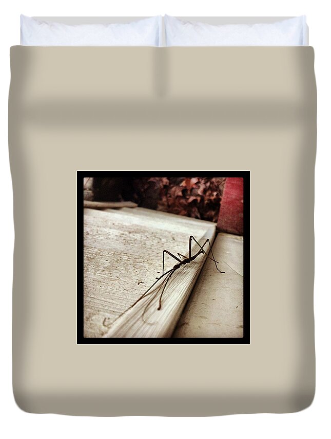 Stick Insect Duvet Covers