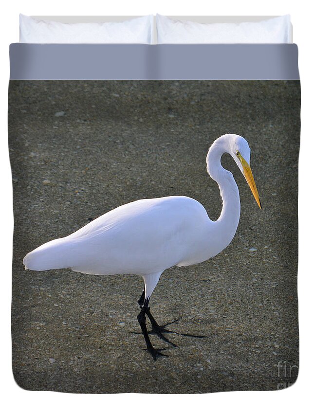 Great Egret Duvet Cover featuring the photograph 59- Great Egret by Joseph Keane