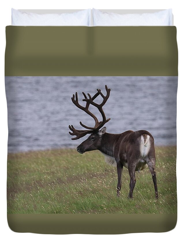 Iceland Duvet Cover featuring the photograph Iceland #59 by Paul James Bannerman