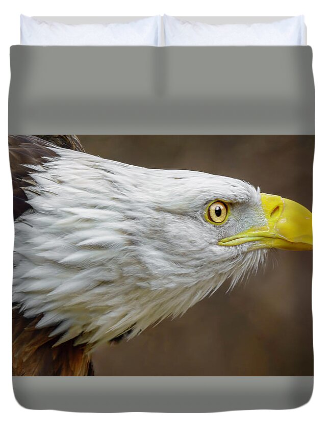 Eagle Duvet Cover featuring the photograph American Bald Eagle #6 by LeeAnn McLaneGoetz McLaneGoetzStudioLLCcom