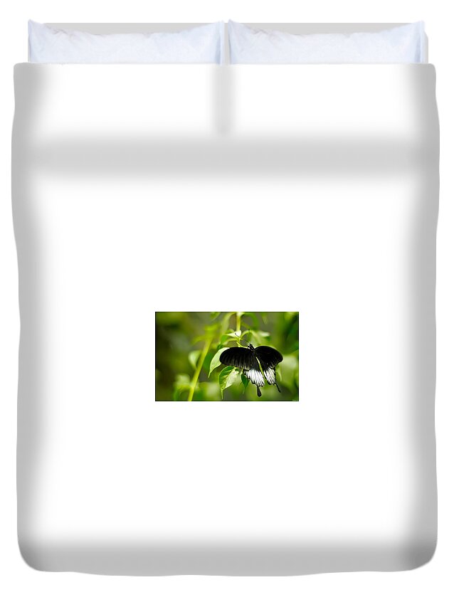 Butterfly Duvet Cover featuring the photograph Butterfly #6 by Jackie Russo