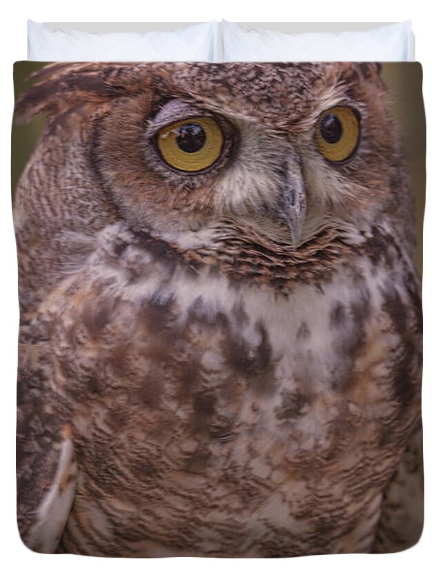 Animal Duvet Cover featuring the photograph Great Horned Owl #6 by Brian Cross