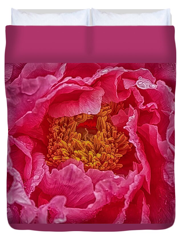 Paeonia Lactiflora Duvet Cover featuring the photograph Chinese peony macro background #7 by Karen Foley
