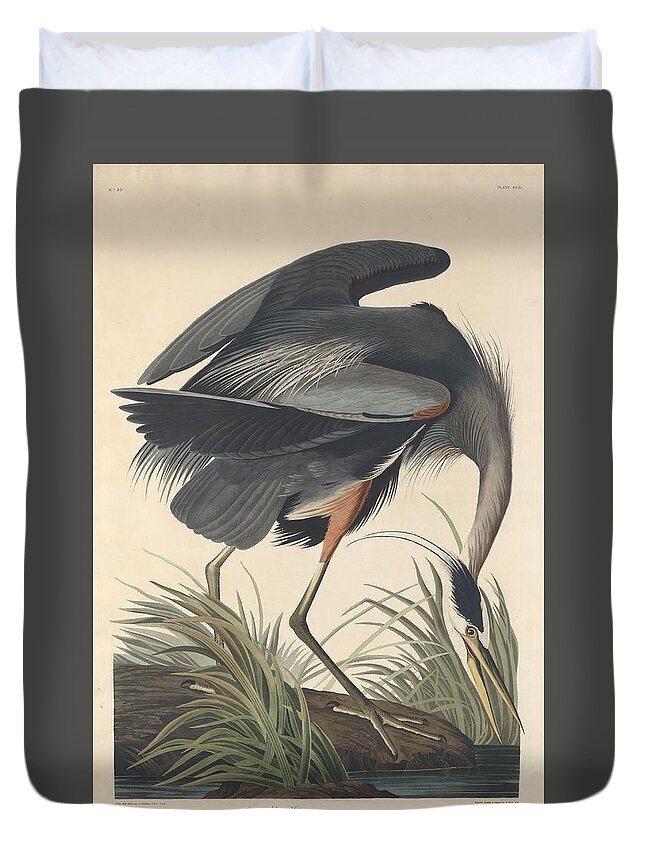 Audubon Duvet Cover featuring the drawing Great Blue Heron #7 by Dreyer Wildlife Print Collections 