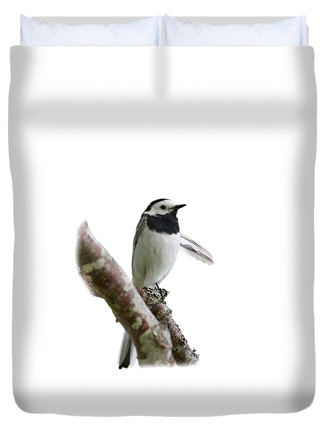 Finland Duvet Cover featuring the photograph White wagtail with transparent background by Jouko Lehto