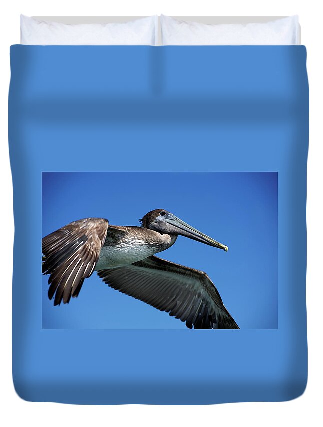 Animals Duvet Cover featuring the photograph Wildlife in Mexico #7 by Robert Grac