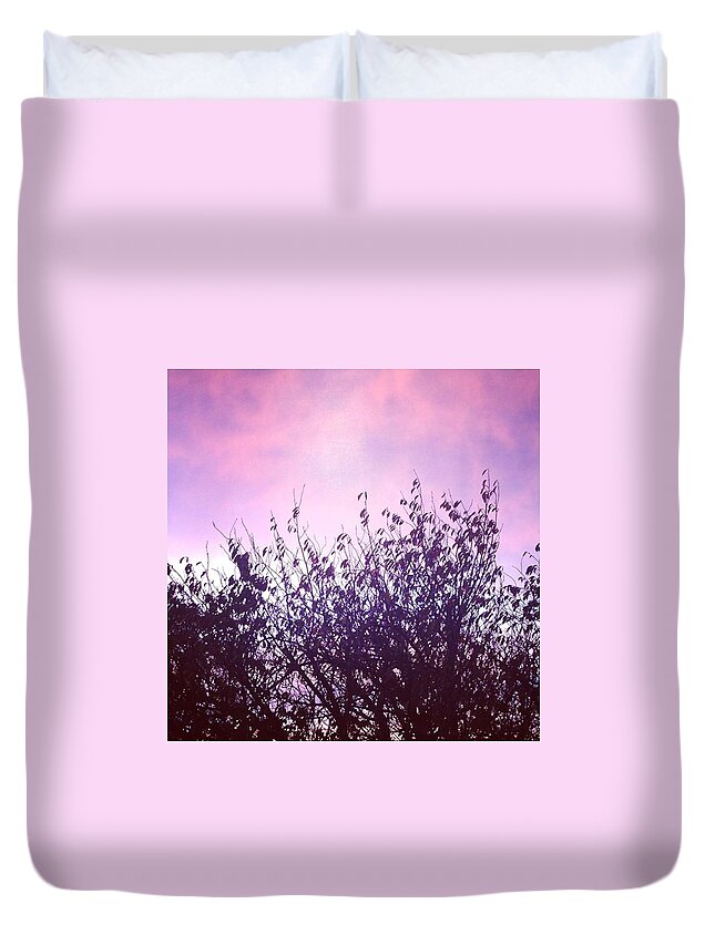 Silhouette Duvet Cover featuring the photograph Sky Silhouette by Ruthie Hindes