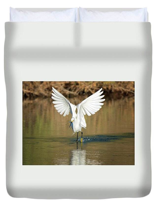 Snowy Duvet Cover featuring the photograph Snowy Egret #74 by Tam Ryan