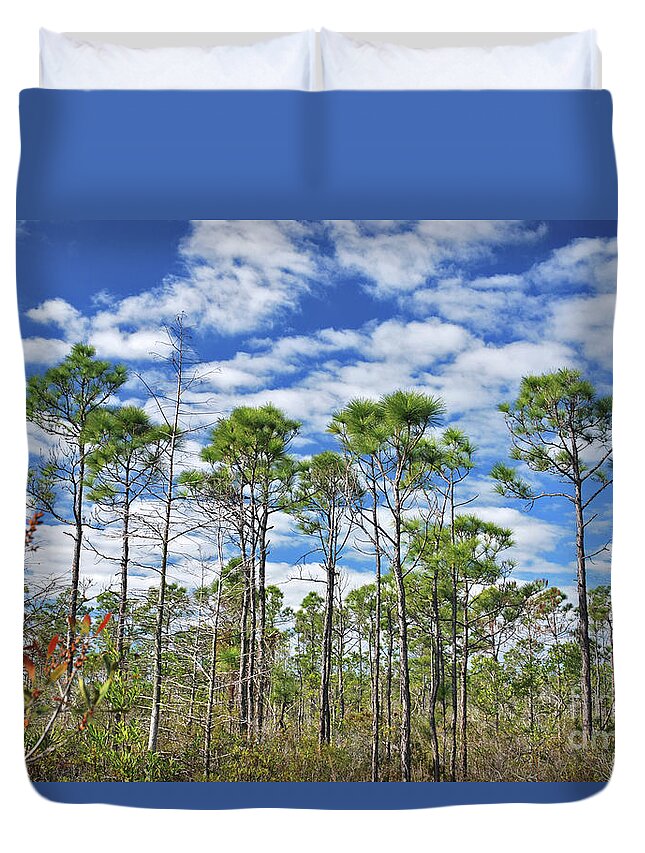 Cypress Trees Duvet Cover featuring the photograph 8- Cypress Sky by Joseph Keane