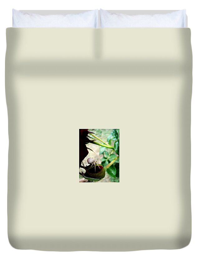 Spider Duvet Cover featuring the photograph Spider #8 by Jackie Russo