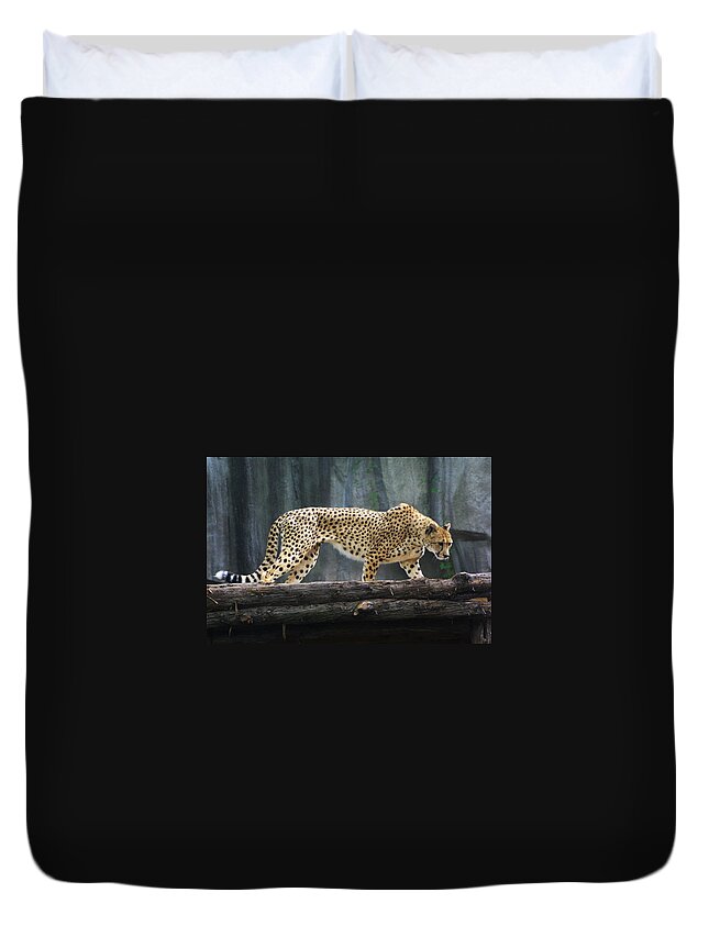 Zoo Duvet Cover featuring the photograph Zoo Scapes #8 by Jean Wolfrum