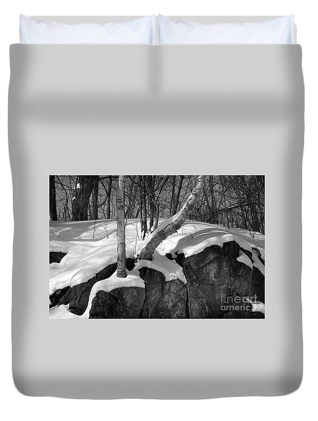  Duvet Cover featuring the photograph 8456bw by Burney Lieberman