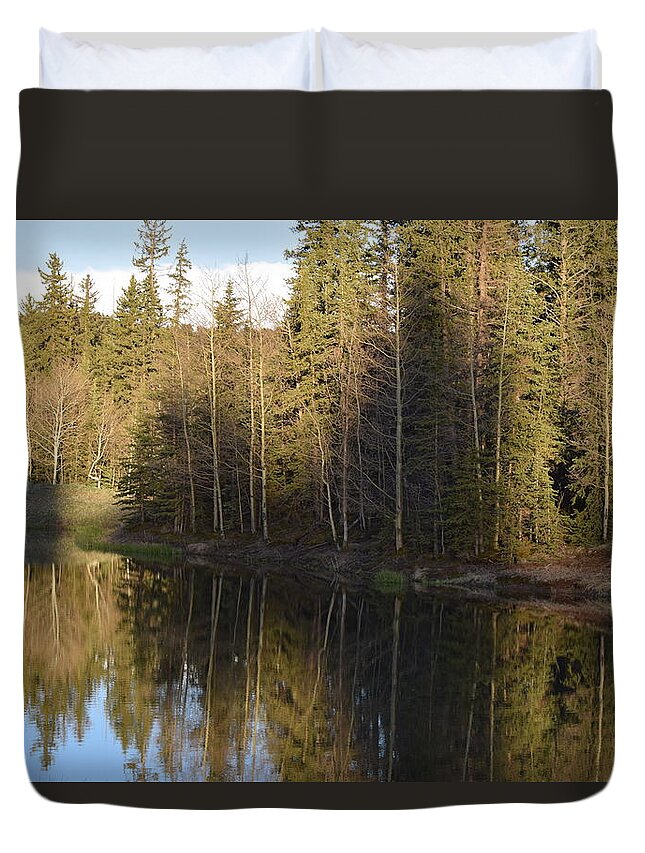 Blue Duvet Cover featuring the photograph Shadow Reflection Kiddie Pond Divide CO by Margarethe Binkley