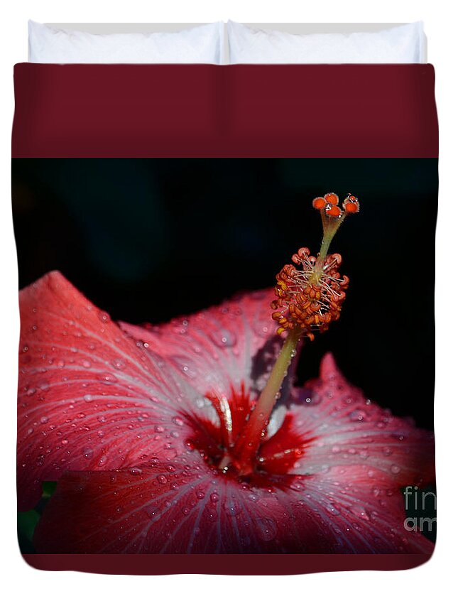  Duvet Cover featuring the photograph 9- Hibiscus by Joseph Keane