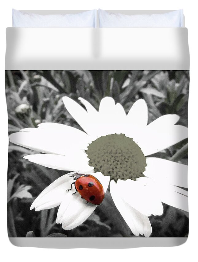 Daisy Flower Duvet Cover featuring the photograph Ladybug #9 by Cesar Vieira