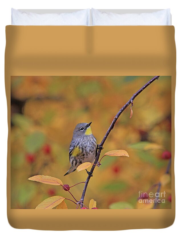Yellow-rumped Warbler Duvet Cover featuring the photograph Yellow-rumped Warbler #9 by Gary Wing