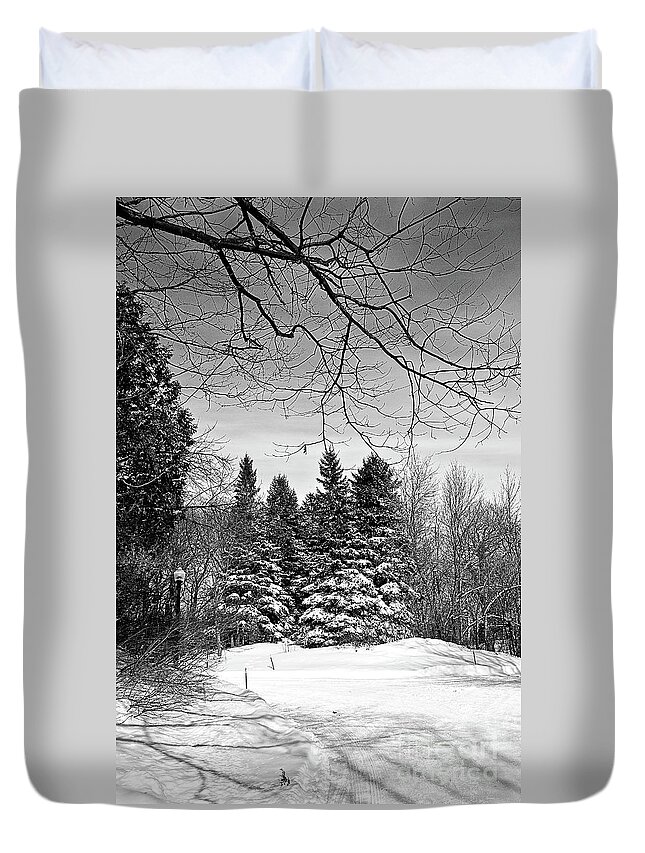  Duvet Cover featuring the photograph 9149a by Burney Lieberman