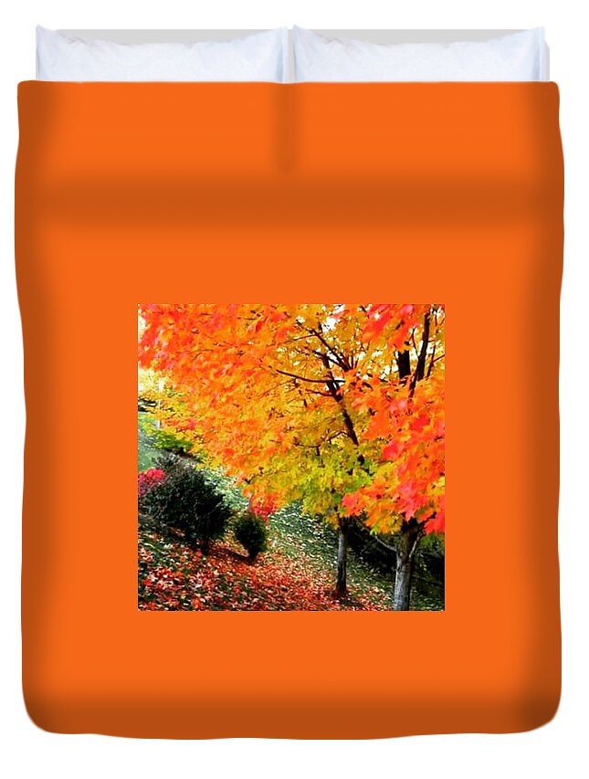 Autumn Duvet Cover featuring the photograph Autumn Leaves by Angela Zalameda
