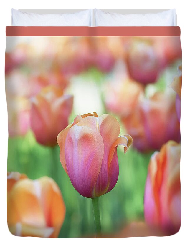 Beautiful Duvet Cover featuring the photograph A bed of tulips is a feast for the eyes. by Usha Peddamatham