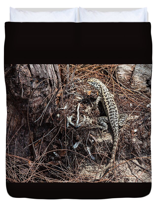 Bimini Duvet Cover featuring the photograph A Bimini Curly-tailed Lizard by Ed Gleichman