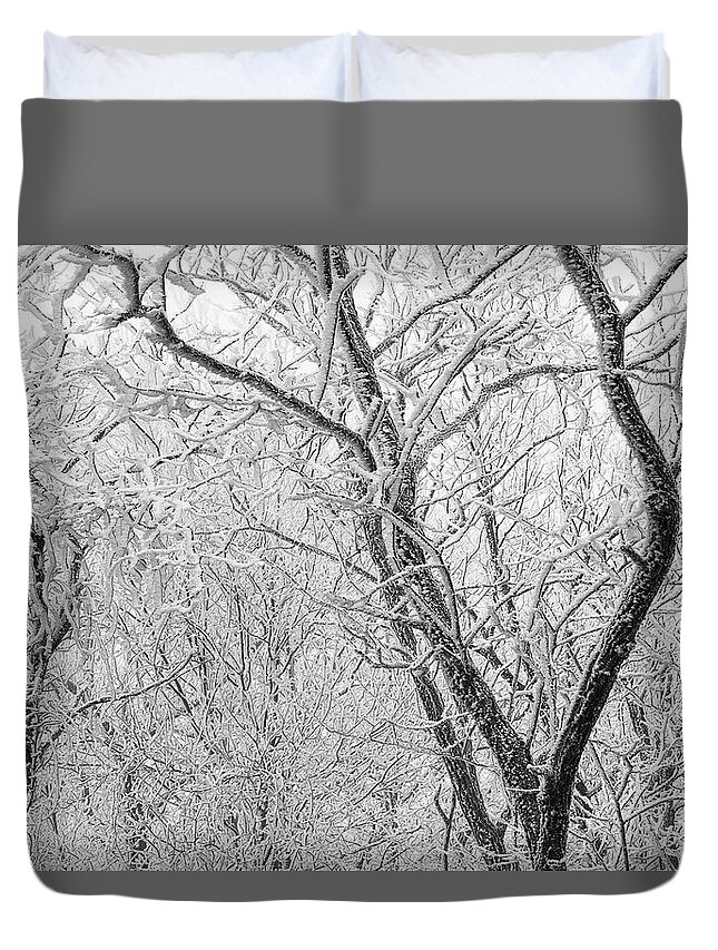 Winter Scene Duvet Cover featuring the photograph A Black And White Winter by Mike Eingle