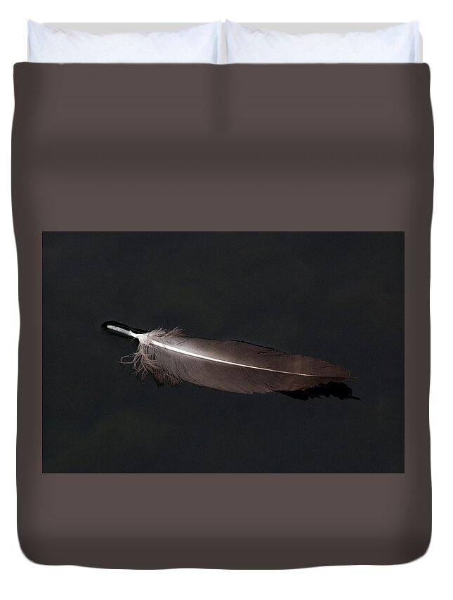 Feather Duvet Cover featuring the photograph A Black Vulture Feather Floating on the Swanee river by John Harmon
