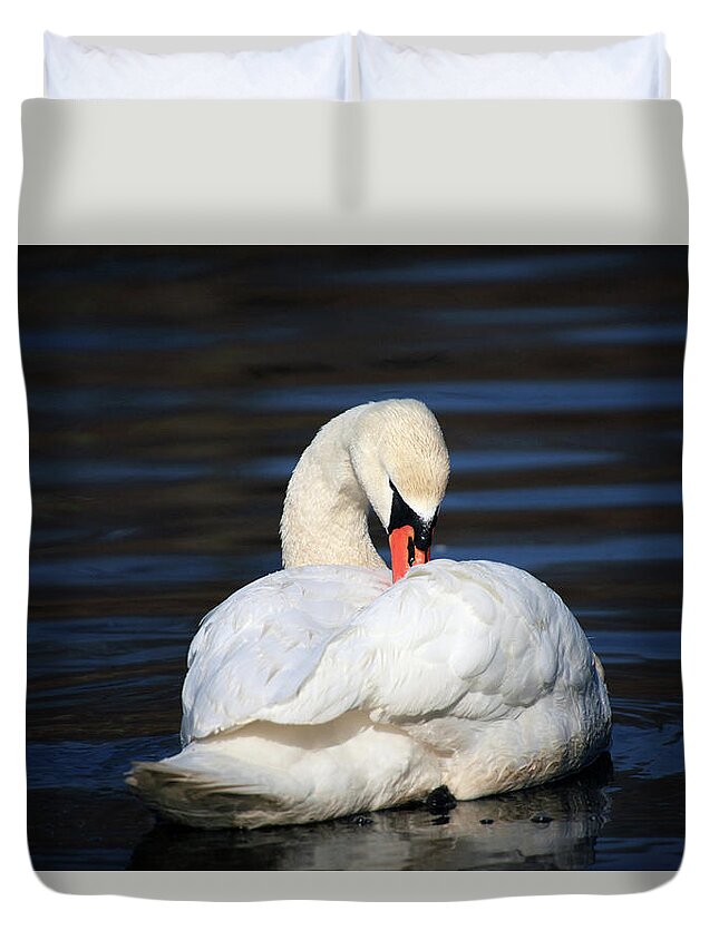 Swan Duvet Cover featuring the photograph A Busy Swan by Karol Livote
