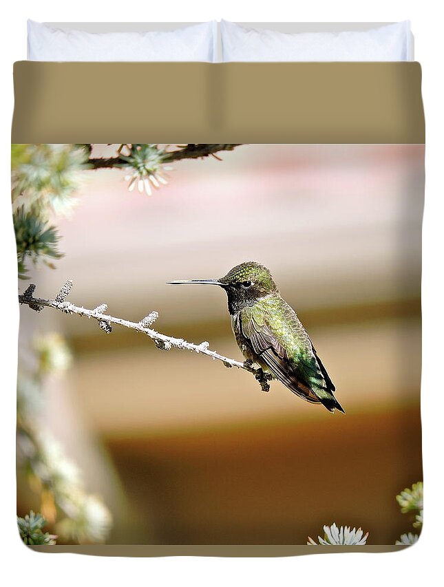 Hummingbird On A Stick Duvet Cover featuring the photograph A Contented Hummer by Patricia Haynes