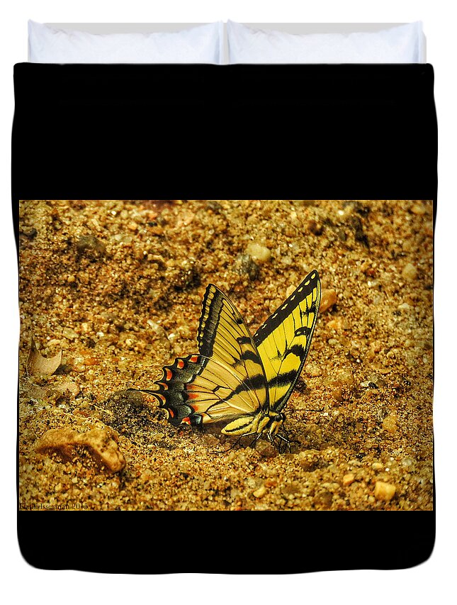  Robinson Nature Center Duvet Cover featuring the photograph A Day at the Beach by Kathi Isserman