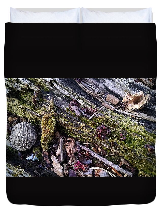 Tree Duvet Cover featuring the photograph A Familiar Place by Allen Nice-Webb