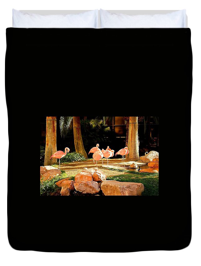 Flamingos Duvet Cover featuring the photograph A Family Gathering by Barbara Zahno