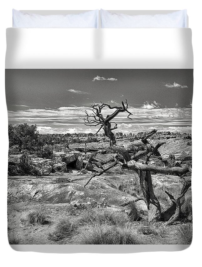 Canyonlands National Park Duvet Cover featuring the photograph Textures and Twists by Art Cole