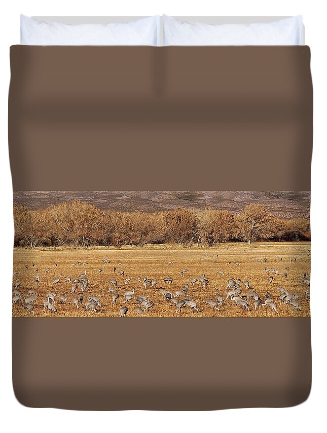 Bosque Del Apache Duvet Cover featuring the photograph A Field of Cranes by Leda Robertson