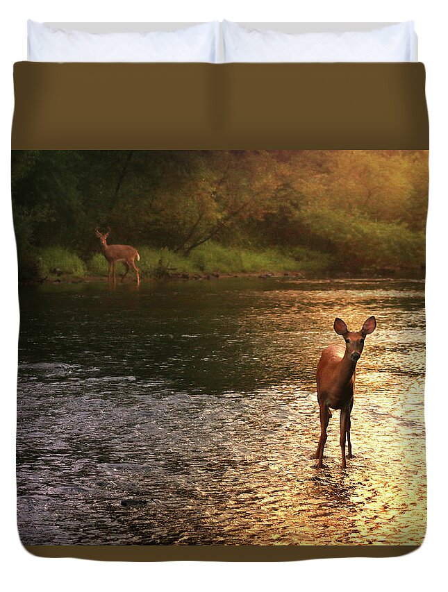 Deer Duvet Cover featuring the photograph A Fleeting Moment by Rob Blair
