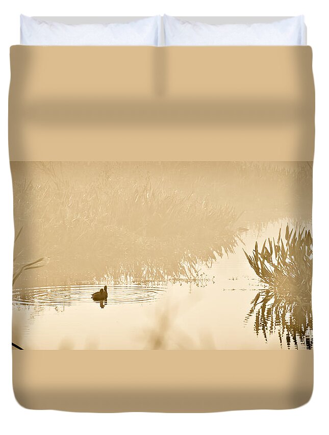 Ducks Swimming Duvet Cover featuring the photograph A Foggy Morning Swim by Carolyn Marshall