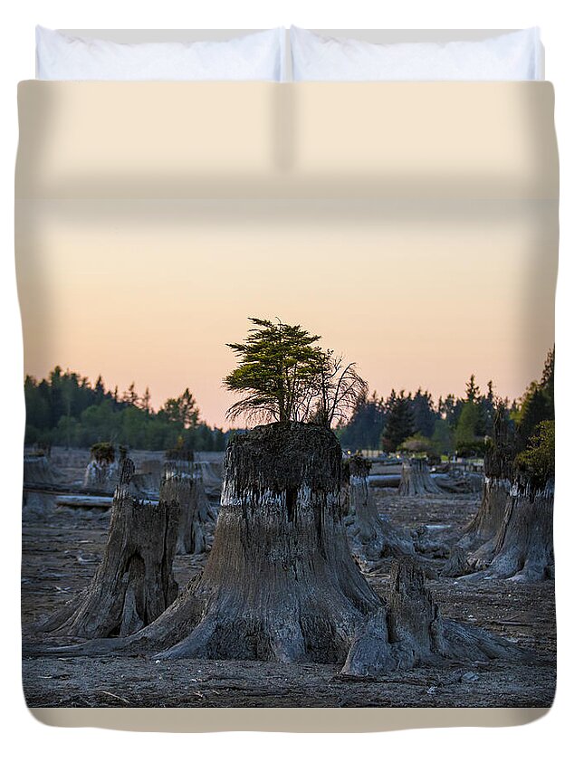Lake Tapps Duvet Cover featuring the photograph A former forest in an empty Lake Tapps by Matt McDonald