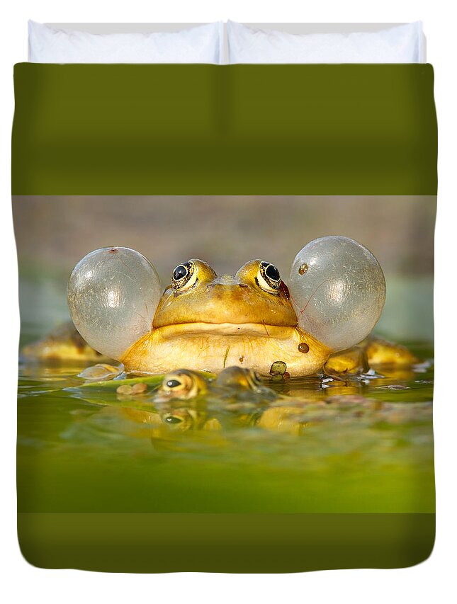 Water Frog Duvet Covers