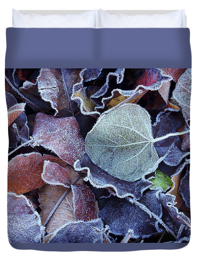 Leaves Duvet Cover featuring the photograph A Frosty November Morning by Mike Eingle