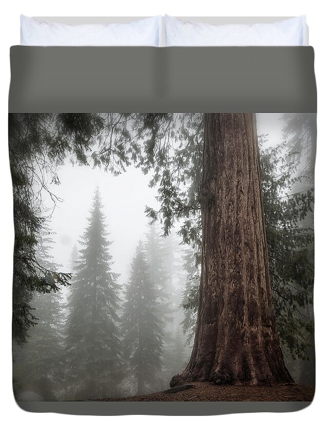 Sequoias Duvet Cover featuring the photograph A Giant in the Fog by Belinda Greb