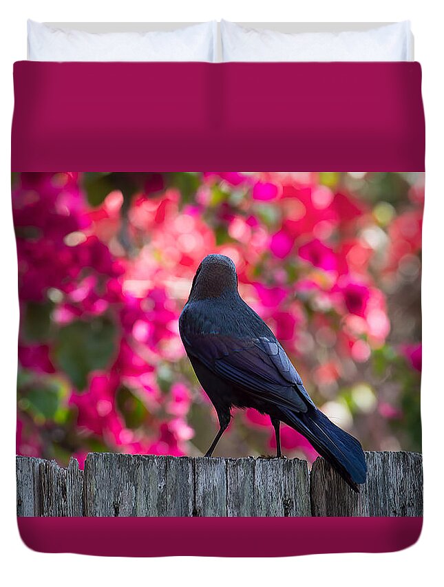Wildlife Duvet Cover featuring the photograph A Grackle Color Explosion by Kenneth Albin