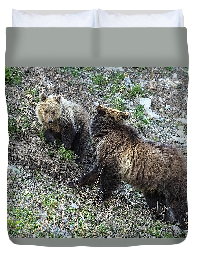 Grizzlies Duvet Cover featuring the photograph A Grizzly Moment by Yeates Photography