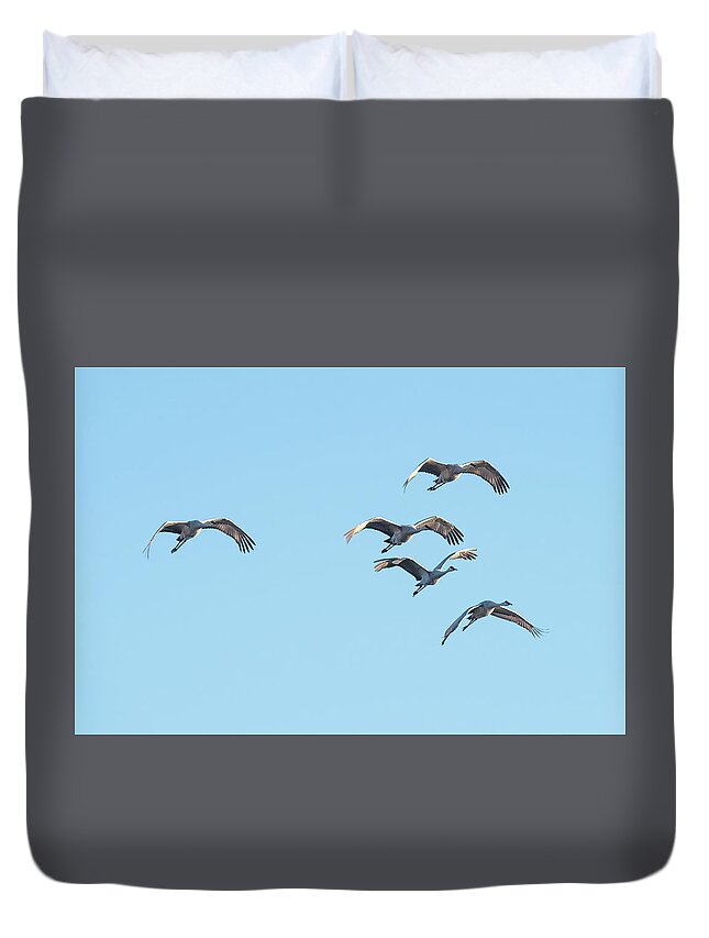 Crane Duvet Cover featuring the photograph A Herd Of Sand Hill Cranes by Paul Freidlund