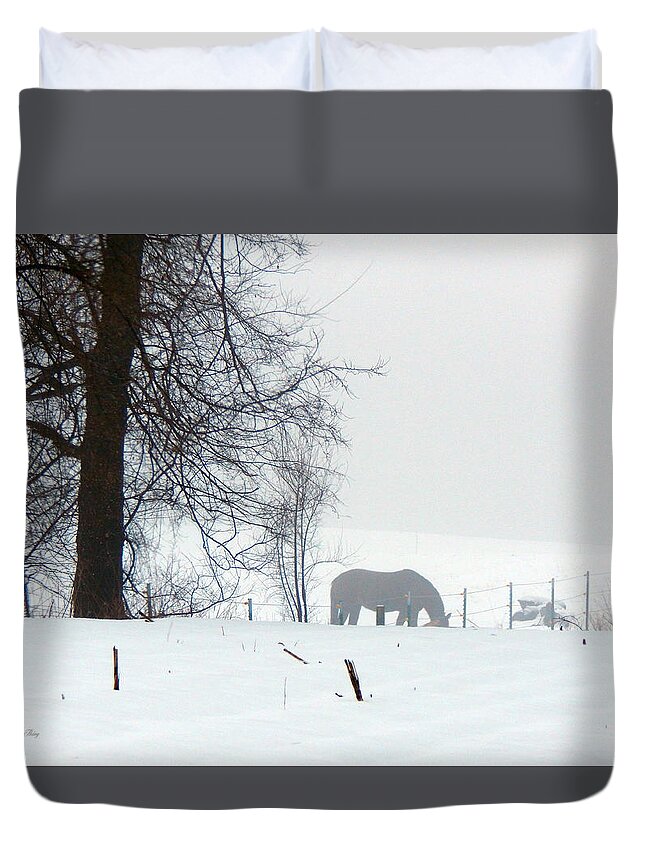 Winter Duvet Cover featuring the photograph A Horse of a Different Color by Wild Thing
