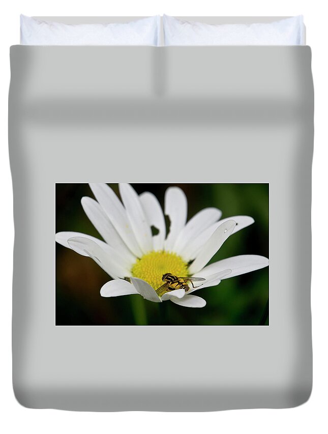 Nature Duvet Cover featuring the photograph A Hoverfly and a Daisy by Elena Perelman